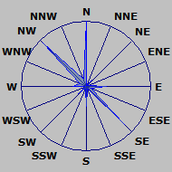 Wind Rose